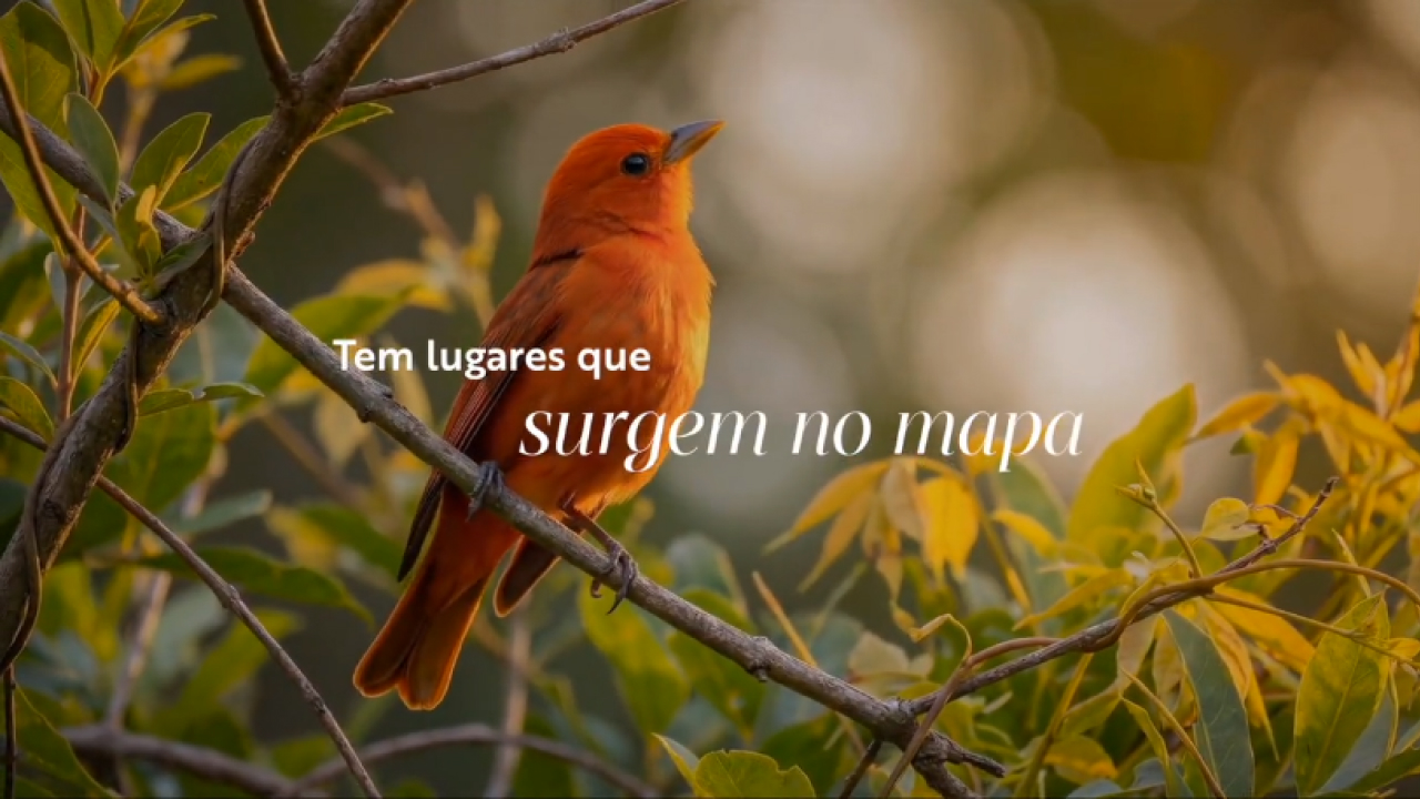 Vídeo Ipoema Capa do vídeo Ipoema